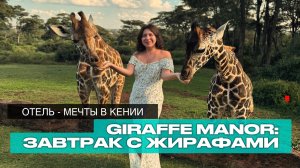 Обзор отеля - мечты в Кении Giraffe Manor. Завтрак с жирафами.