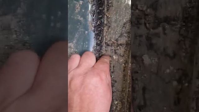 АНТИКОР  или Горячее цинкование???  Не тратьте свои ден?