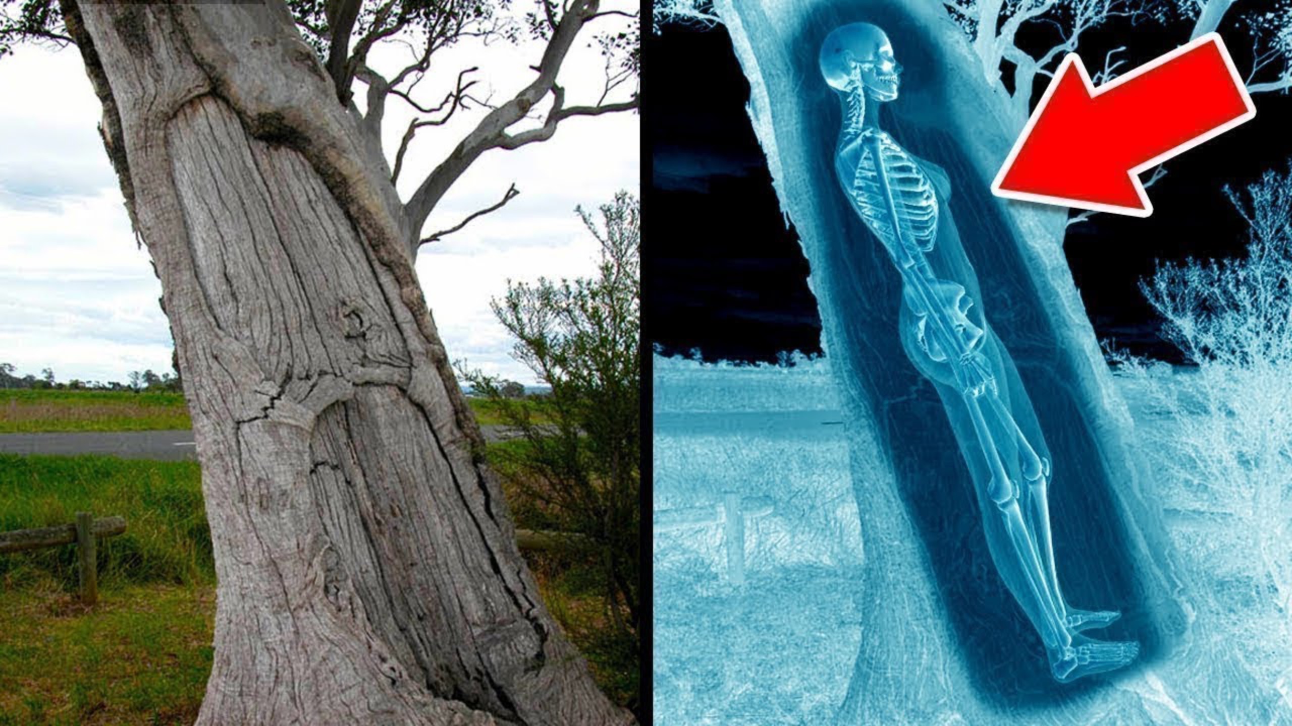 Странные Археологические Находки смотреть онлайн