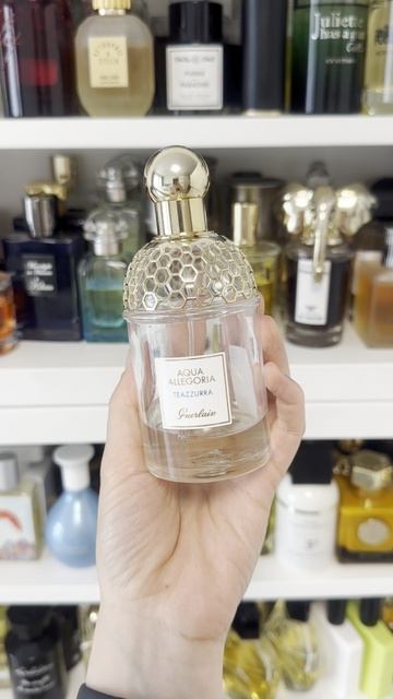 Освежающие люксовые ароматы для жары смотреть онлайн