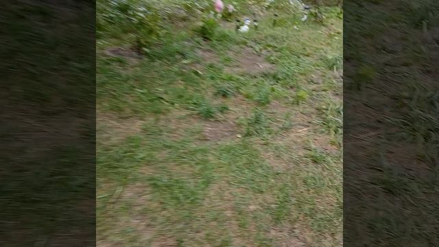 огород 1 часть