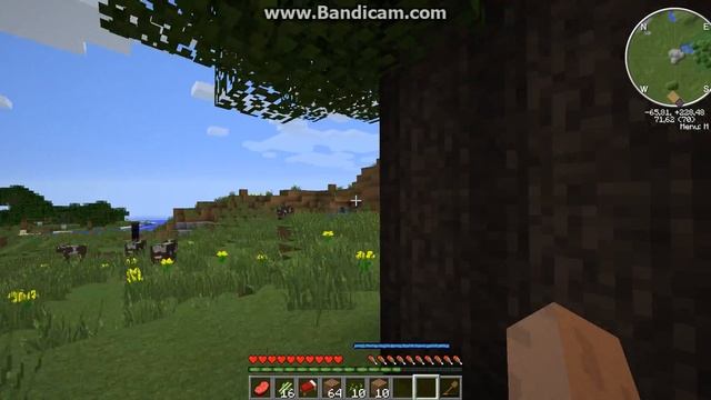 зимнелетние похождения №2 прости персик