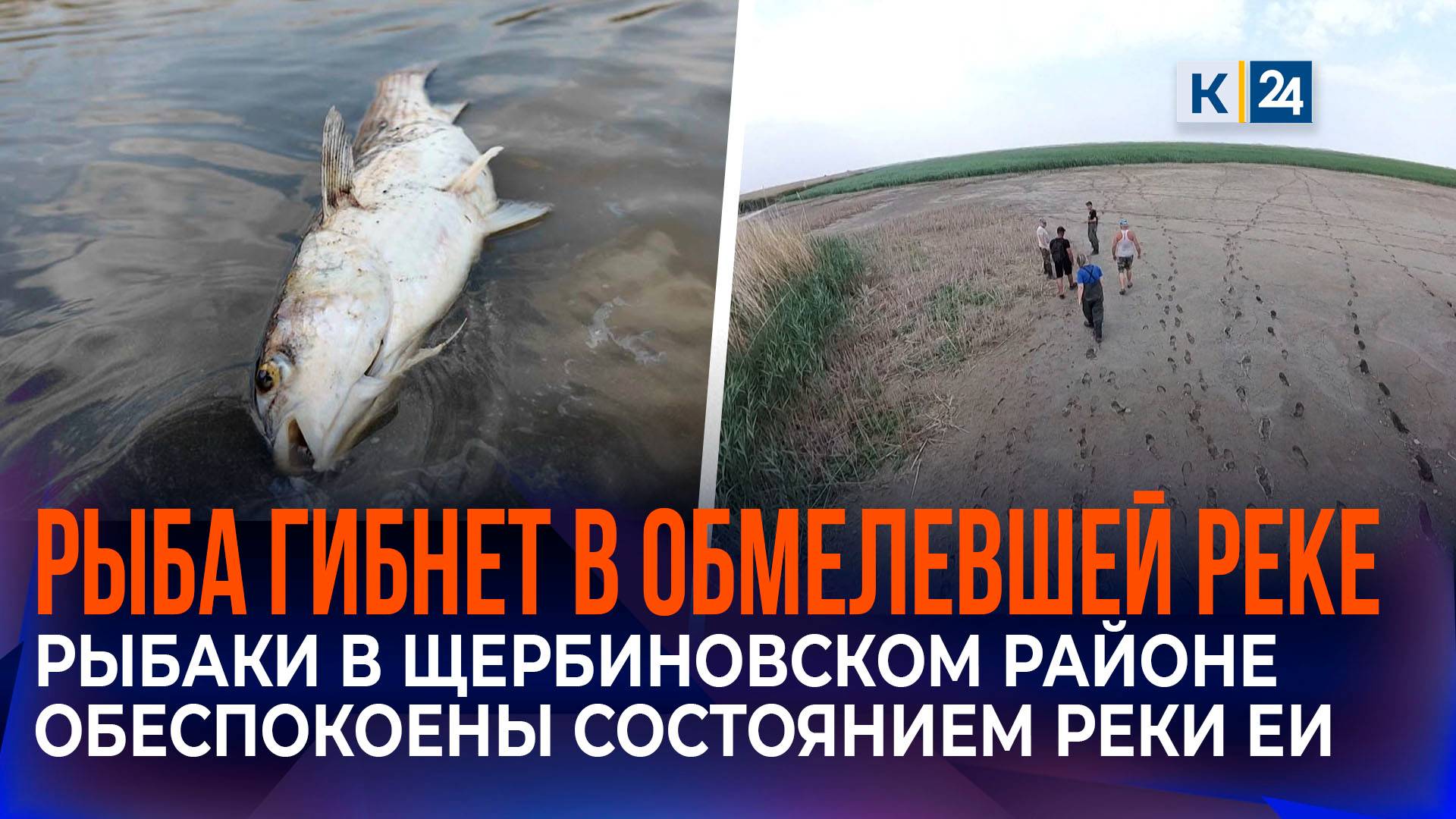 Обмелением Еи и гибелью рыб обеспокоены жители Щербиновского района смотреть онлайн
