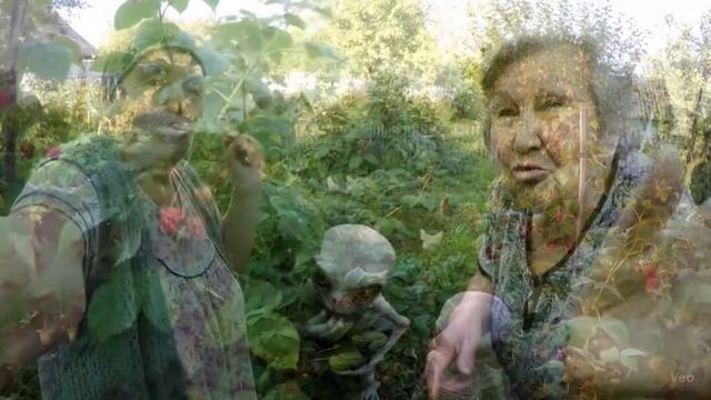 Бабушка в огороде
