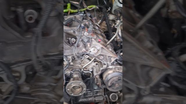 Land Rover Range Rover 5.0 Supercharged замена маслосьемных 😭