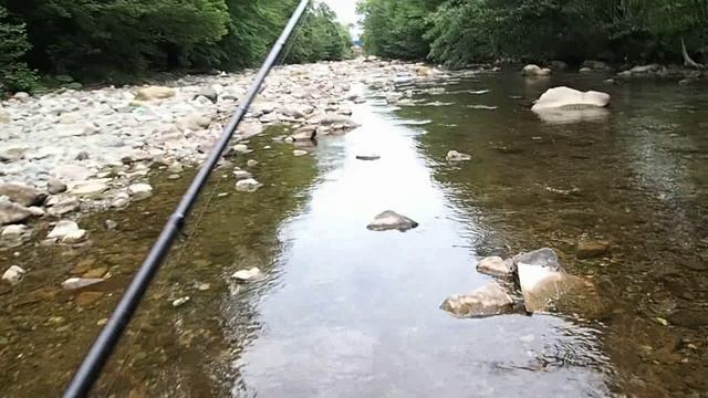 река Дагомыс смотреть онлайн