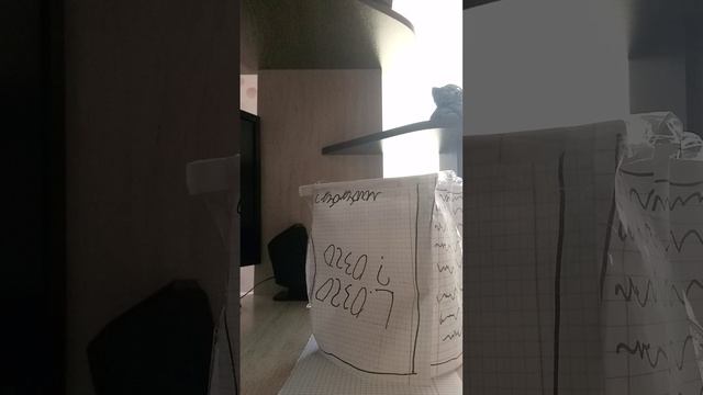 Распаковка чек✌️✌️бумажный лабубу!💗💅