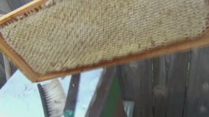 Первый сотовый мёд (сюжет 24)