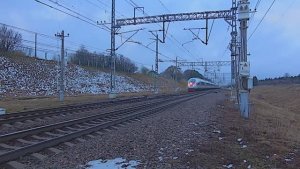 🚂🚂🚂Поезд "Сапсан"