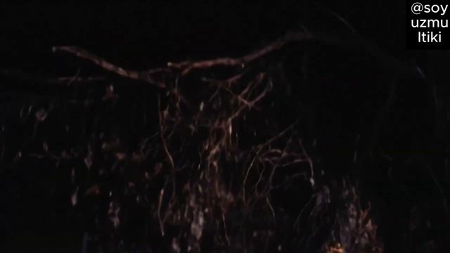 Финист сарлочин  Финист Ясный сокол 1975 Uzbek Tilida O'zbek Ozbek Re