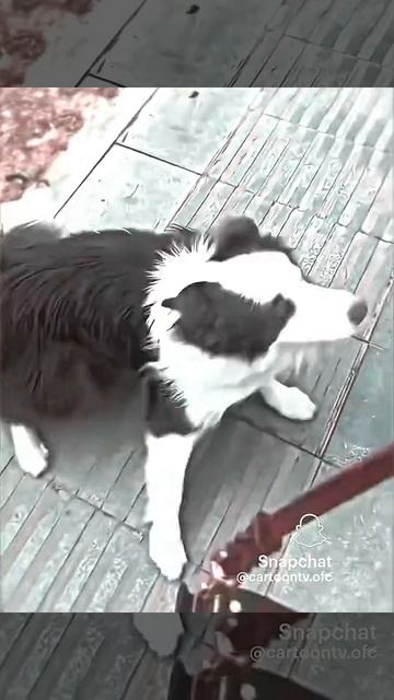 ULTRA SLOWED смотреть онлайн