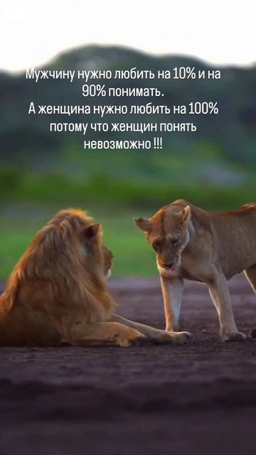 Правда смотреть онлайн
