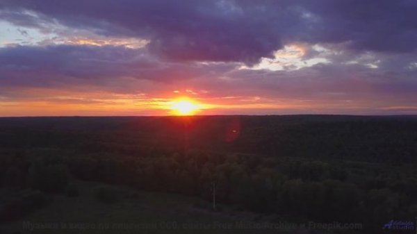 Кадры, снятые наномикроскопом - увидите невидимое! - Goodbye Good Times -- HoliznaCC0 -- Makeshift S