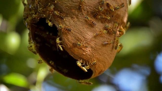 Современная аптечка для рыбалки 2025 смотреть онлайн