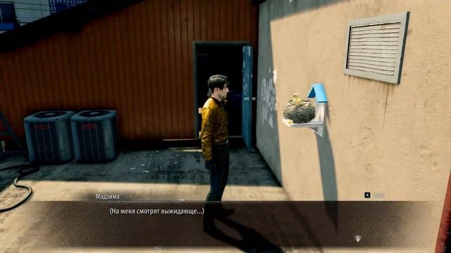 НОВЫЙ ЯКУДЗА ПЕРВЫЙ ВЗГЛЯД ● Like a Dragon: Pirate Yakuza in Hawaii ● Я смотреть онлайн