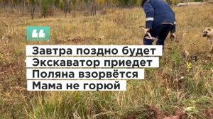 В третий раз осуществляю выезд к месту временного хранения металлолома.