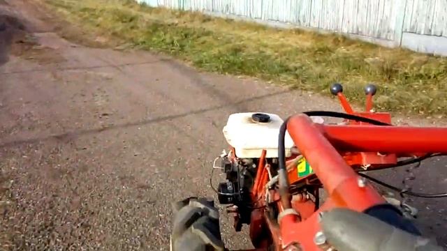 Агрос возим тыкву