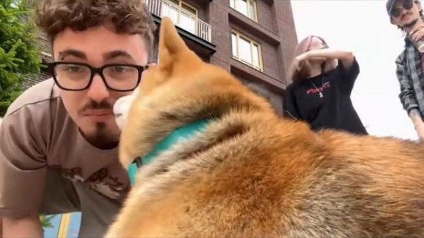 ХЕРЕЙД БОИТСЯ МОЕЙ СОБАКИ! рекция на эдисон перец