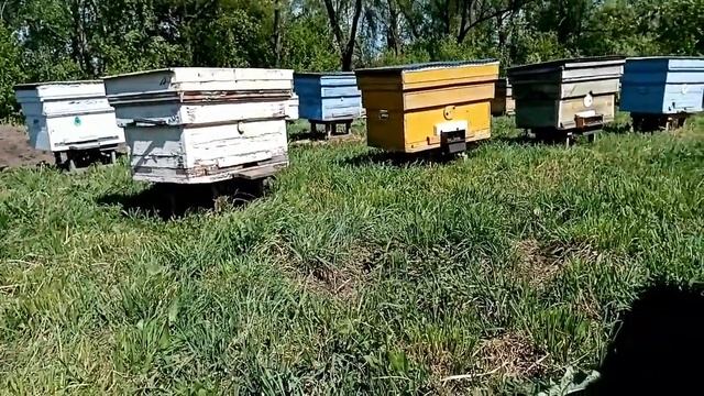 Обзор на 5 мая, ветер.