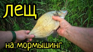 ЛЕЩ НА МОРМЫШИНГ, ЩУКИ РВУТ ЛЕСКУ !!! МОРМЫШИНГ РАННИМ УТРОМ !!!