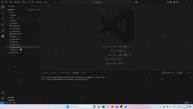 Как создать виртуальное окружение Python за 1 минуту. смотреть онлайн