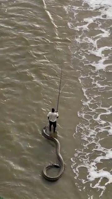 морские монстры смотреть онлайн