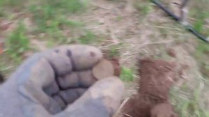Ну очень странные сигналы на монеты. Minelab X Terra Elite.