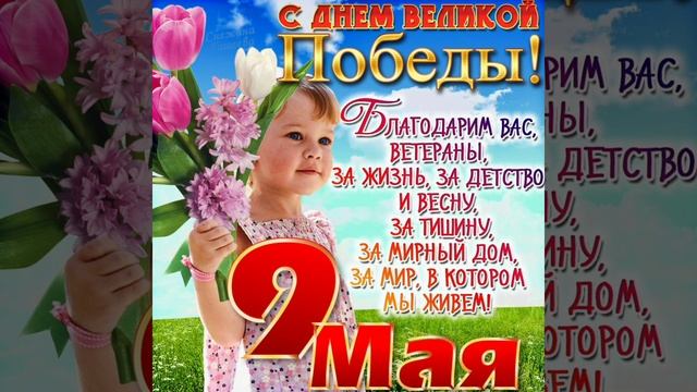 Мы помним! Мы гордимся! смотреть онлайн