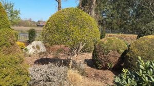 Авторский сад в Германии 🏡 Прогулки по красивым сада?