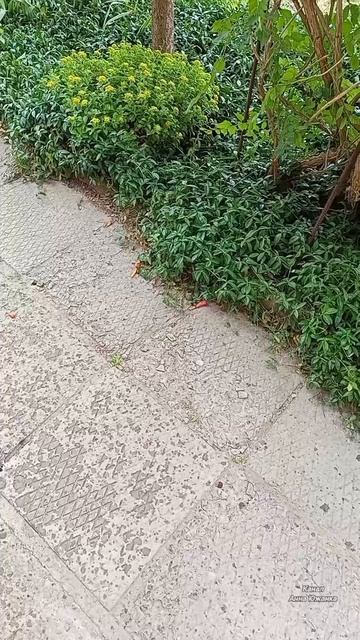 Переменчивая погода в городе Таганроге. 12.06.25. смотреть онлайн