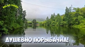 Рыбалка на живописном лесном озере — на мормышку! | MyStories