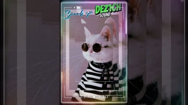 Надевай свой модный лук И зови своих подруг - Raim