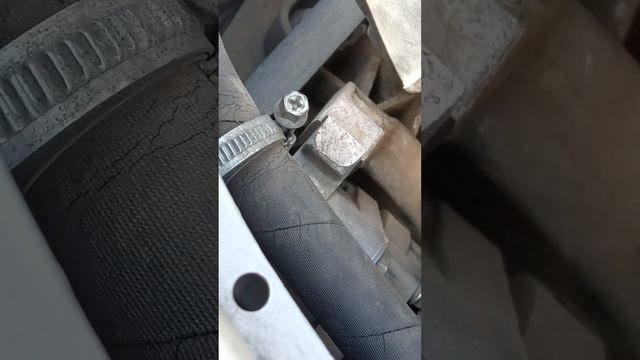 2 октября 2024 г.