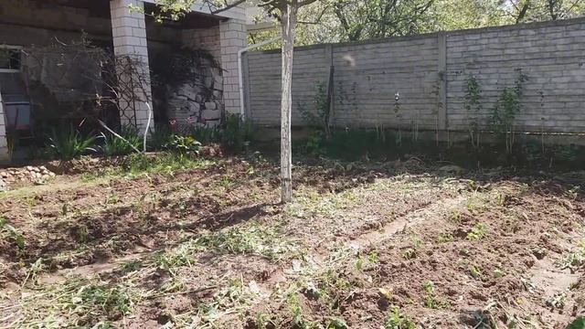 ПОЧЕМУ Я ПЕРЕСТАЛА РАСТИТЬ РАССАДУ /ВЫГОДНО ИЛИ НЕ ВЫГ