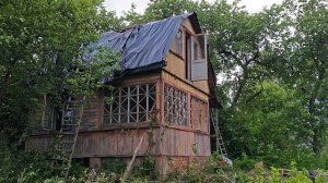 купили запущенную дачу