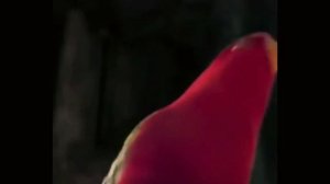 Как научиться управлять катером ?