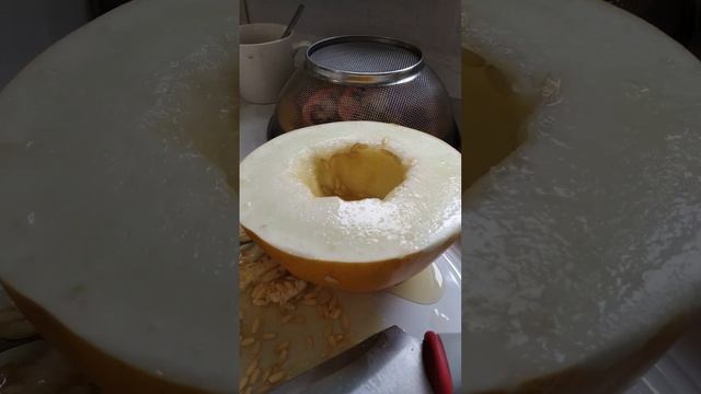 Открыл сезон дынь. Следующий арбуз. Лето 2024.