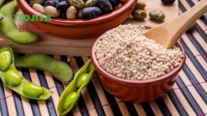 Соя Соевые бобы Польза и Вред: для Женщин, Мужчин и Дет?