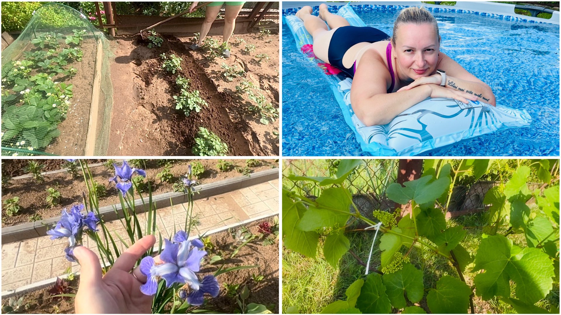 12 июня. На даче. Окучила картошку. Отдых тоже нужен. Жируют помидоры. Подвязала виноград смотреть онлайн