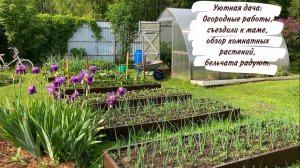 Уютная дача: Огородные работы, съездили к маме, обзор комнатных растений, бельчата радуют.