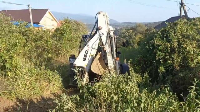 Сочи. Черешня. Чистим участки трактором.