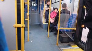 поездка на автобусе МАЗ 203 №6 АК 8942-6