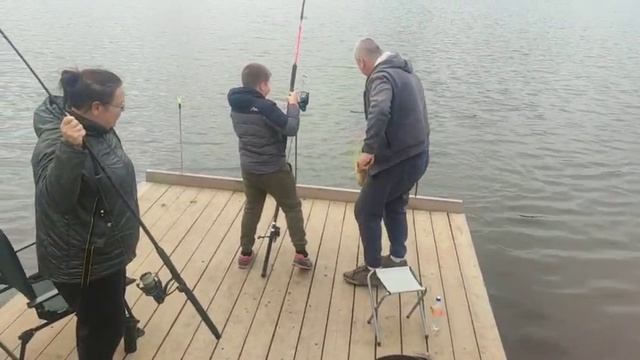 WhatsApp Video 2025-06-12 at 09.24.22 смотреть онлайн