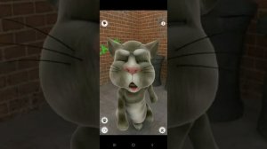 Говорящий Том 1.0 для Android