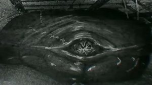 ЖИВОЕ МЯСКО ХОЧЕТ ТЕБЯ (обзор Vita Carnis)