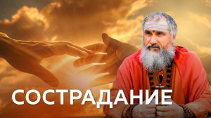 Сострадание - твоя сила и путь к божественному