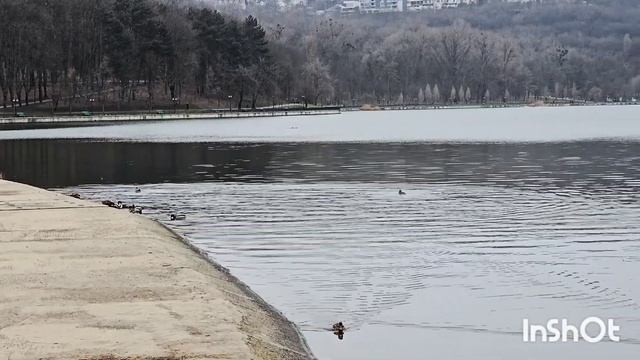MOLDOVA 🇲🇩 CHISINAU ♥️ВАЛЯ МОРИЛОР(КОМСОМОЛЬСКОЕ ОЗЕРО).8Ф?