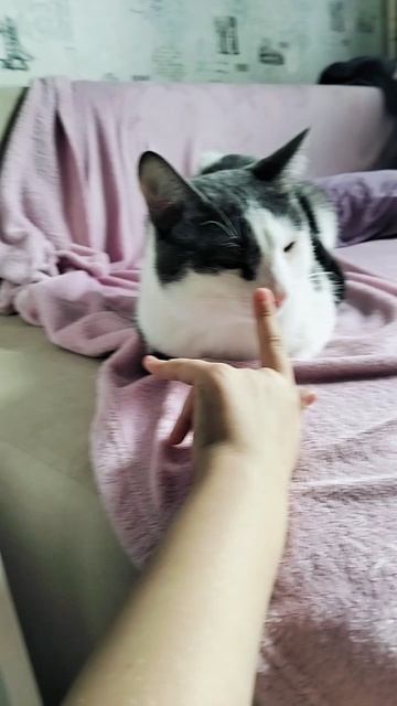 1000004765.mp4 смотреть онлайн