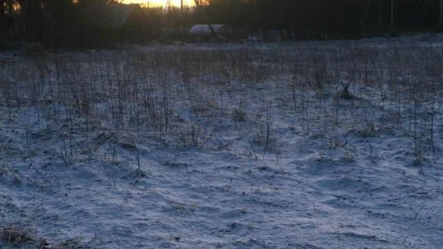 «СКАЗКА НИ О ЧЁМ» стихотворение. Светлана Виноградова