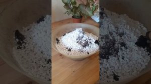 Грунт для Сингониума.